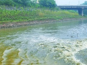 银川宁东区污水清运多少钱